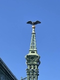 IMG_7319-scaled